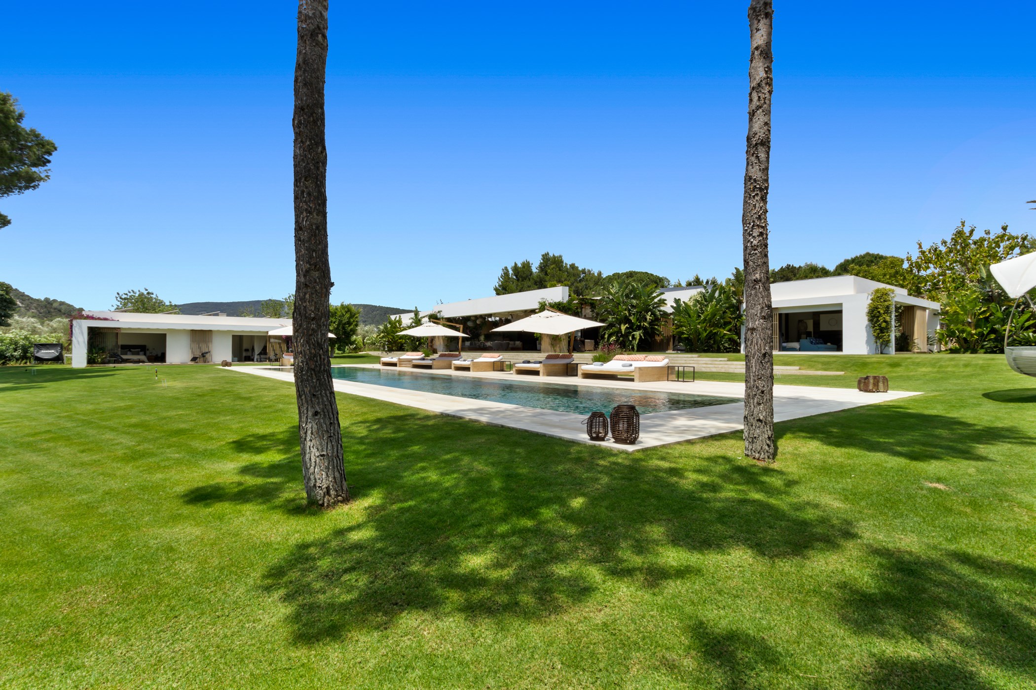 Two pine tree trunks framing the expansive lawn, swimming pool, and modern villa