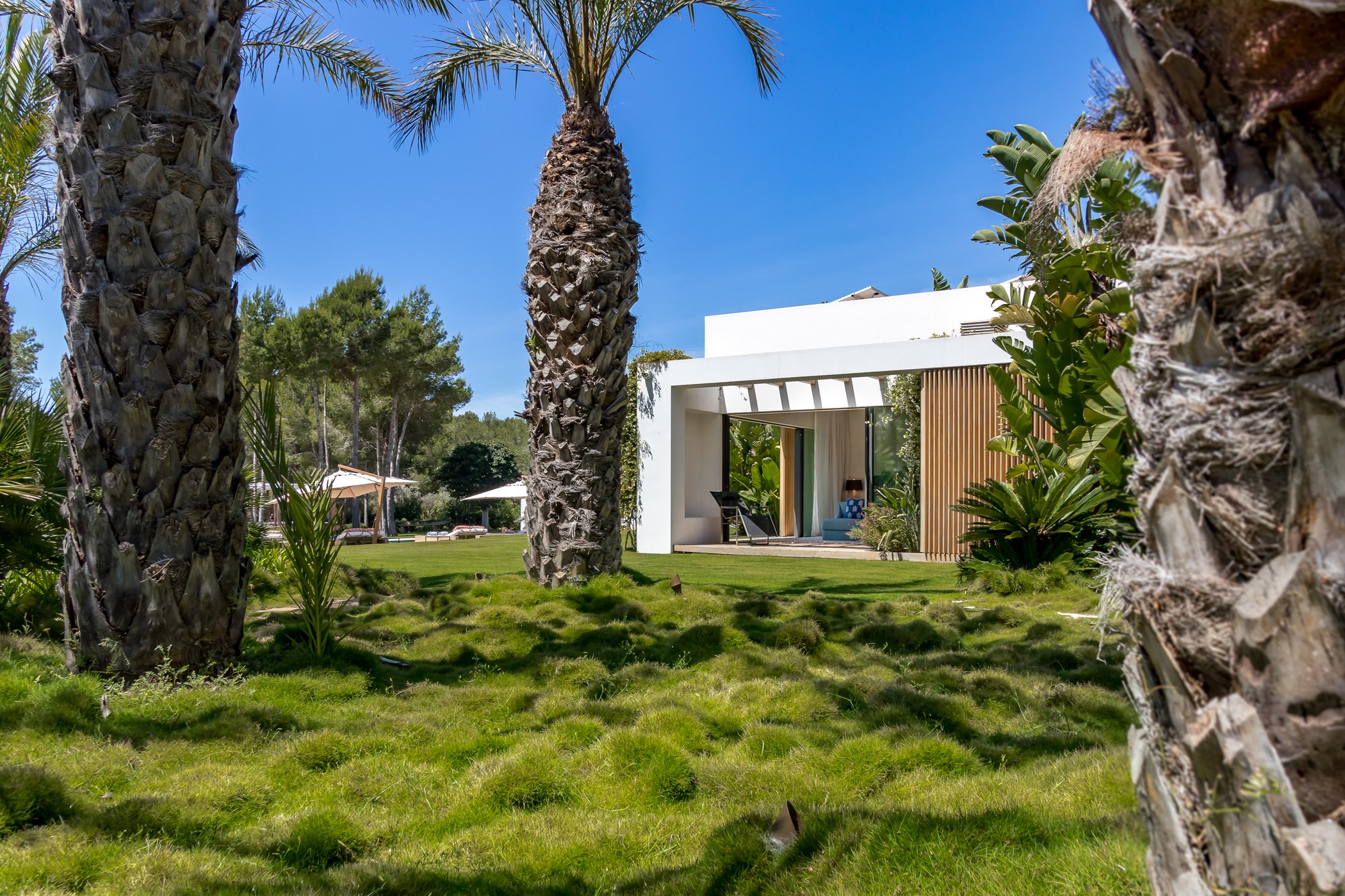 Villa Marielle, San Jose, Ibiza: foto 22