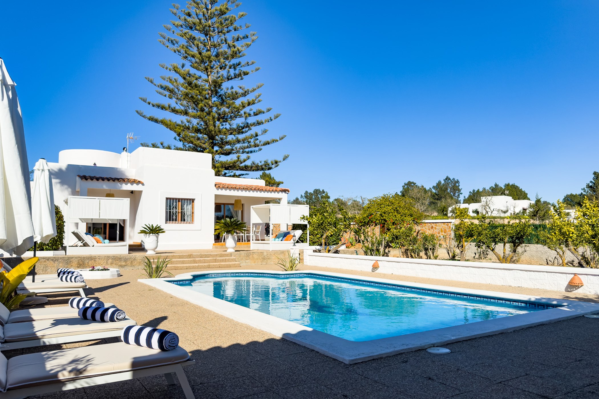 Your Private Oasis in the Heart of Ibiza